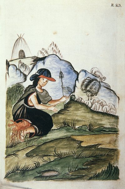 Młoda owczarka indyjska rodząca w naturze, z książki „Trujillo del Peru” lub „Códice Martínez Compañón” Baltazara Martineza Compañón y Bujanda, biskupa Trujillo (1782-1785) autorstwa Unknown artist