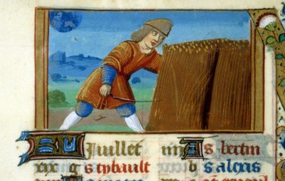 Zodiak Lew i Żniwo - Miniatura Średniowiecza (ref. 137, 049r): Prośba o zgodę Biblioteki Miejskiej w Tuluzie (tel: 05 62 27 66 66) autorstwa Unknown artist