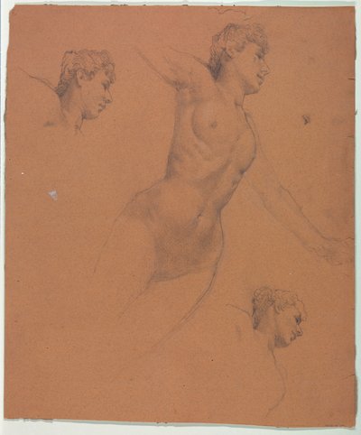 rysunek autorstwa Unknown artist