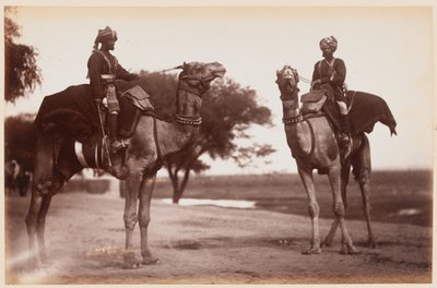 Sowars wielbłądów w obozie ćwiczeń w Delhi autorstwa Unknown photographer