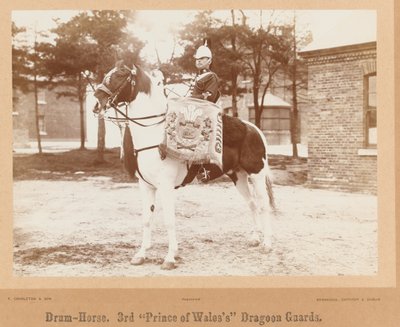 „Bębniarz, 3. Smocza Gwardia Księcia Walii”, 1895 ok. autorstwa Unknown photographer