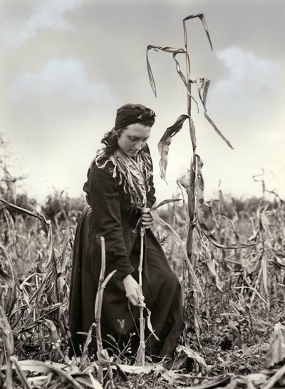 Friulian wytłaczany autorstwa Unknown photographer