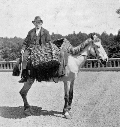 Irlandczyk na koniu (XIX wiek). autorstwa Unknown photographer
