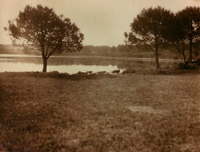 Krajobraz na wyspach Brijuni autorstwa Unknown photographer