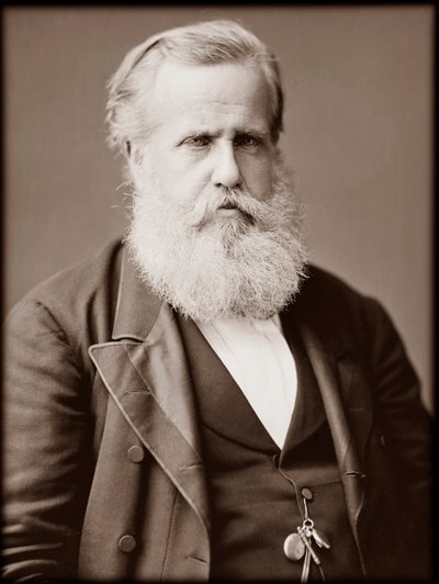 Portret Dom Pedro II (Peter II) (Dom Pedro de Alcantara) (1825-1891), cesarz Brazylii autorstwa Unknown photographer