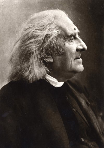 Portret Franciszka Liszta (1811-1886), węgierskiego kompozytora i pianisty. autorstwa Unknown photographer