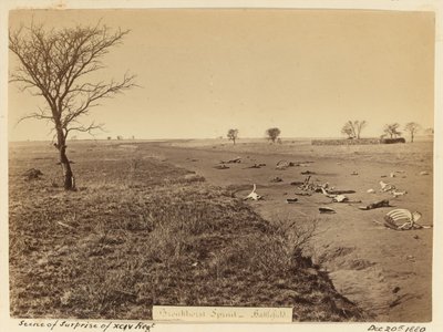 ?Scena zaskoczenia pułku xciv?, 1881 r. autorstwa Unknown