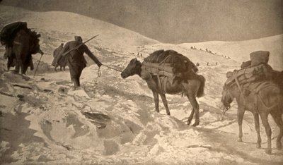 Pozycje francuskie i włoskie mają ponad 2 metry śniegu nad poziomem morza autorstwa Unknown photographer
