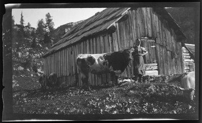 Vorderbachalm (hala górska) z alpejską chatą w pobliżu Goessl nad jeziorem Grundl autorstwa Unknown photographer