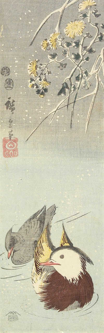 (Chryzantema i kaczki mandarynki), luty 1854 autorstwa Utagawa Hiroshige