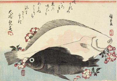 (Fluke i Black Bass, Kwiaty Wiśni) autorstwa Utagawa Hiroshige