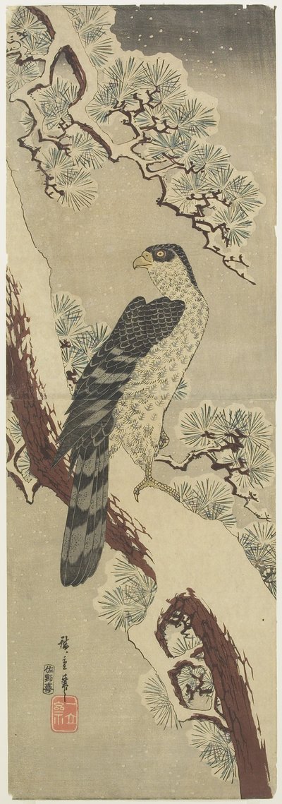 (Jastrząb na gałęzi sosny, zima), początek XIX w. autorstwa Utagawa Hiroshige
