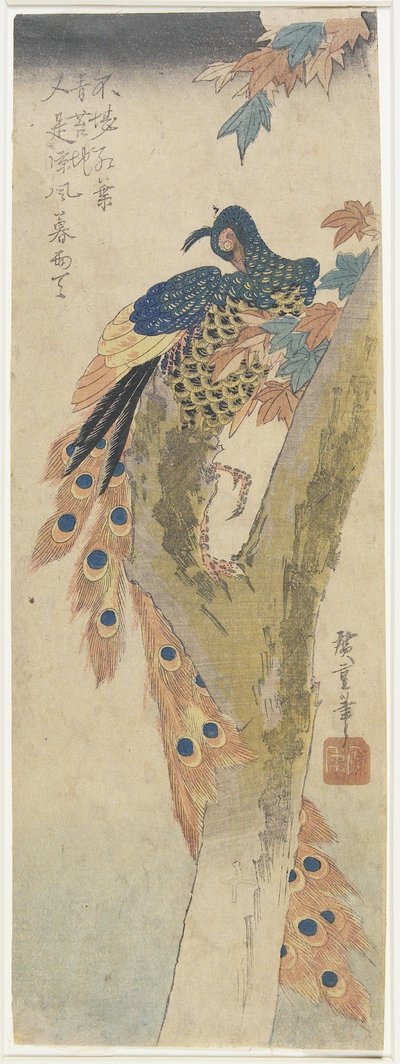 (Paw na klonie), początek XIX wieku autorstwa Utagawa Hiroshige