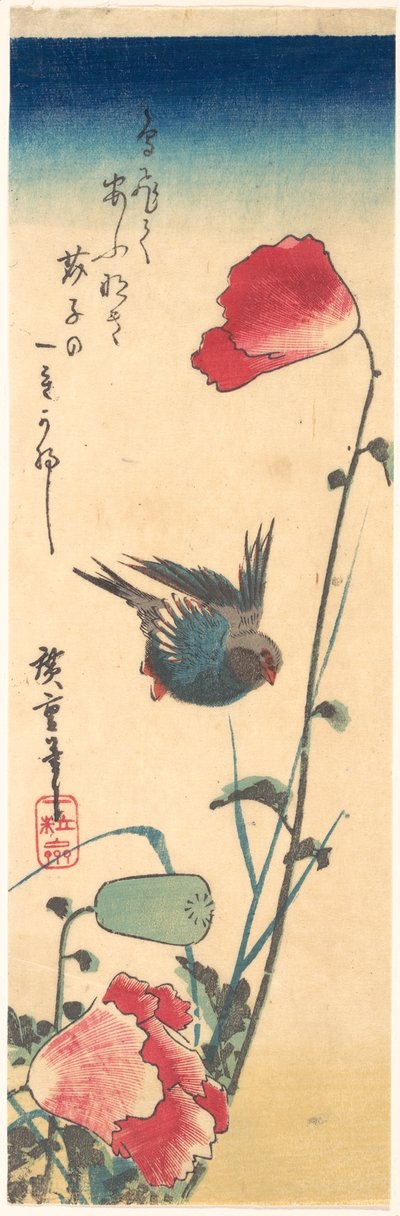 Ein Blaukehlchen und Mohnblumen autorstwa Utagawa Hiroshige