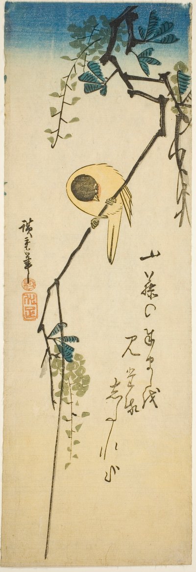 Ptak na jedwabistej wisterii autorstwa Utagawa Hiroshige