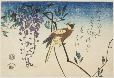 Wilga czarnowłosa i glicynia autorstwa Utagawa Hiroshige