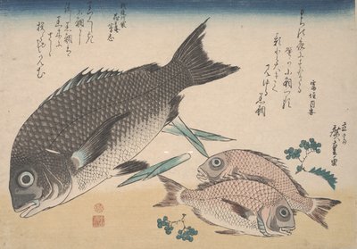 Czarny leszcz morski, mały leszcz morski, pędy szparagów i pieprz Sansho, ok. 1830 r. autorstwa Utagawa Hiroshige