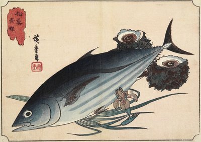 Bonito i Top Shells, początek XIX wieku autorstwa Utagawa Hiroshige