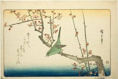 Lasówka krzewiasta na gałęzi śliwy autorstwa Utagawa Hiroshige