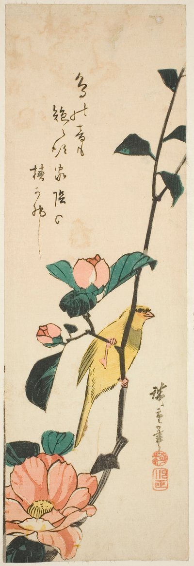 Kanarek i kamelie autorstwa Utagawa Hiroshige
