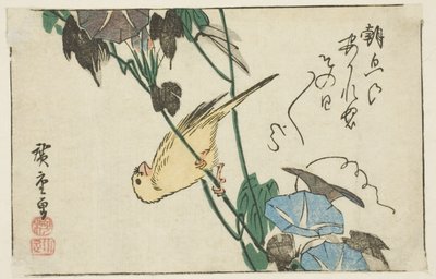 Kanaryjskie i poranne chwały autorstwa Utagawa Hiroshige