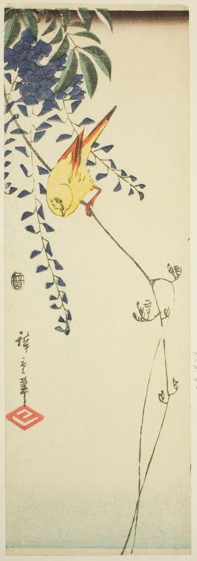 Kanaryjskie i wisteria autorstwa Utagawa Hiroshige