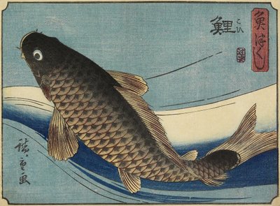Karp, 1830-1844 autorstwa Utagawa Hiroshige