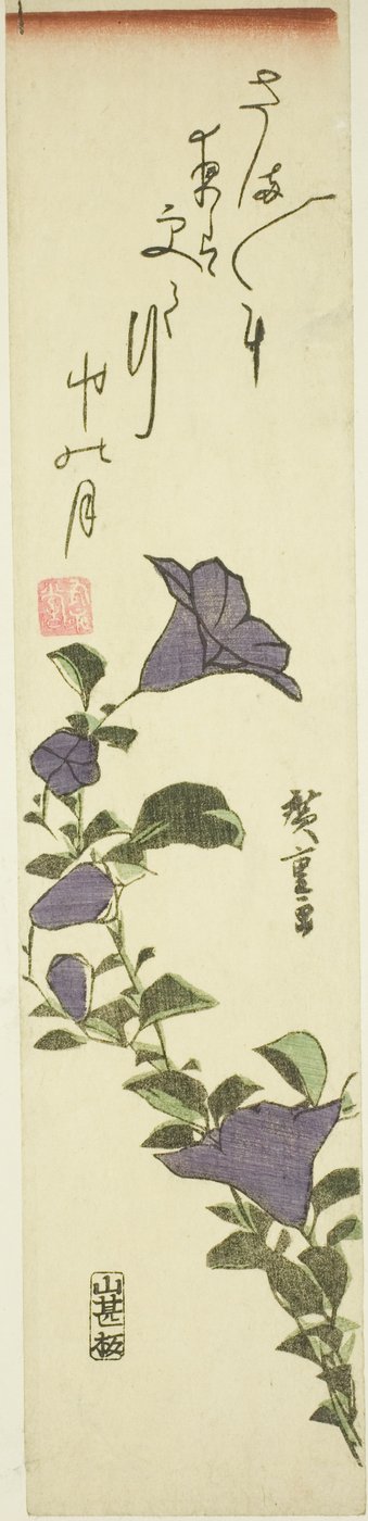 Chińskie kwiaty dzwonkowe autorstwa Utagawa Hiroshige