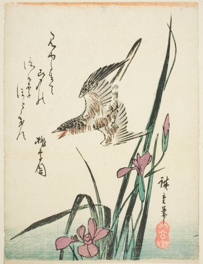 Kukułka przelatująca nad tęczówką autorstwa Utagawa Hiroshige