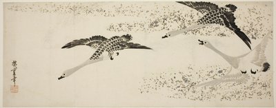 Zstępujące gęsi autorstwa Utagawa Hiroshige