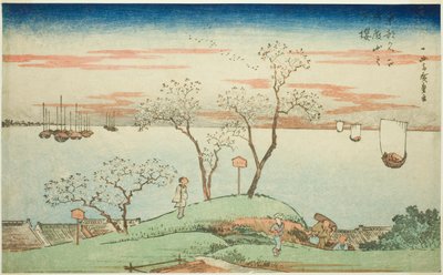 Wieczorne kwitnące wiśnie na wzgórzu Goten (Gotenyama no yuzakura), z serii „Słynne widoki na wschodnią stolicę (Toto Meisho)” autorstwa Utagawa Hiroshige
