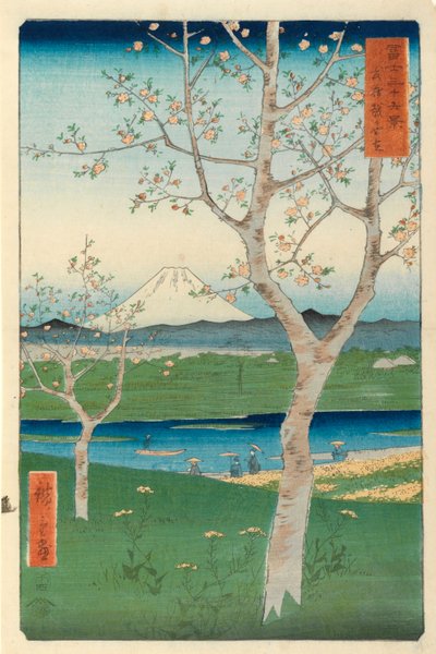 Fuji z Koshigaya, Mushashi, nr 14 z serii „36 widoków góry Fuji”, („Fuji Saryu Rokkei”), (kolorowy drzeworyt) autorstwa Utagawa Hiroshige