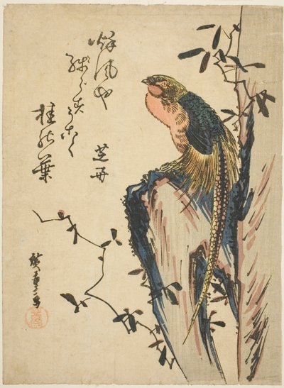 Bażant złocisty autorstwa Utagawa Hiroshige