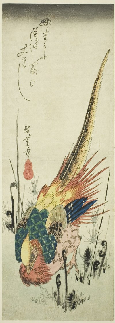 Bażant złocisty i paprocie paprociowe autorstwa Utagawa Hiroshige