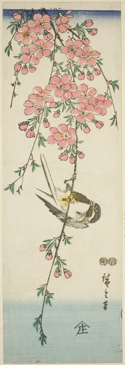 Sikora bogatka i kwiaty wiśni autorstwa Utagawa Hiroshige