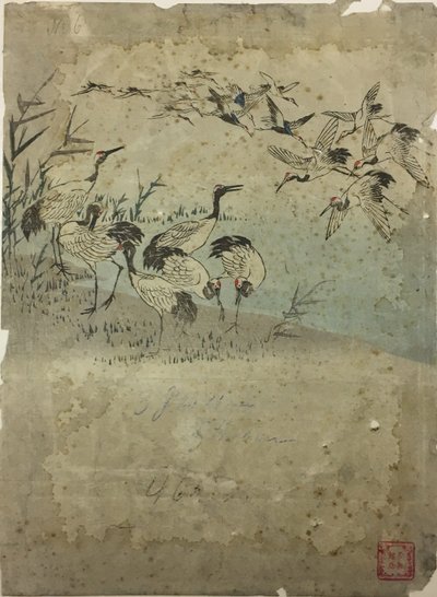 Czaple wśród traw autorstwa Utagawa Hiroshige
