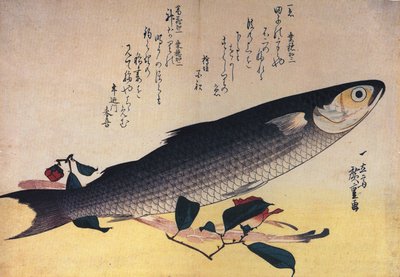 Hiroshige Szara barwena i kamelia autorstwa Utagawa Hiroshige