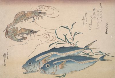 Makrela, krewetki słodkowodne i wodorosty, ok. 1832 r autorstwa Utagawa Hiroshige