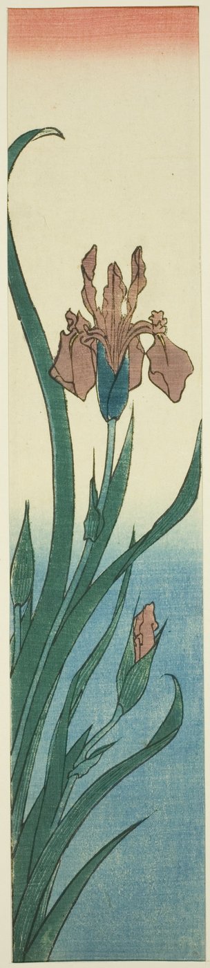 Irys autorstwa Utagawa Hiroshige
