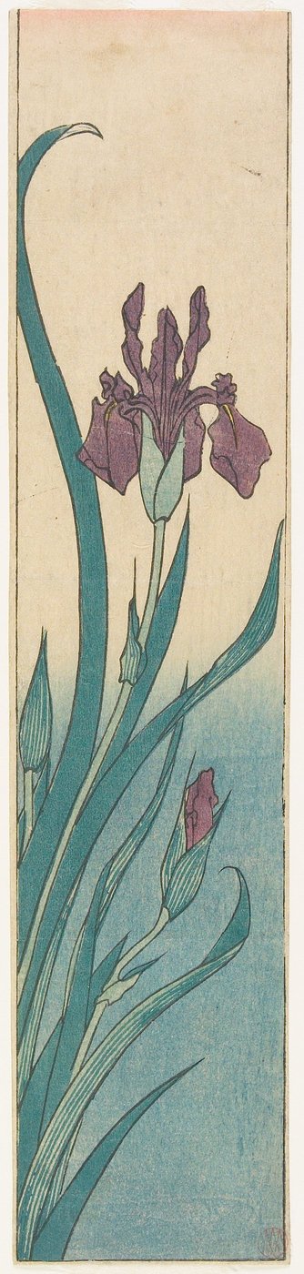 Iris autorstwa Utagawa Hiroshige