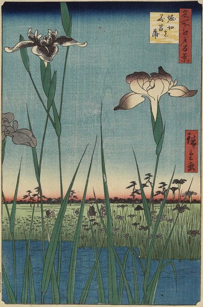 Ogród irysowy w Horikiri, maj 1857 r. autorstwa Utagawa Hiroshige