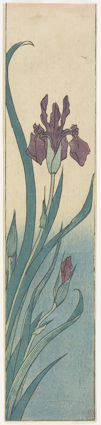 Irys, początek XIX wieku autorstwa Utagawa Hiroshige