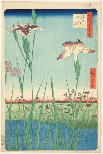 Irase s at Horikiri (Horikiri no Hanadokorobe), z serii „Ridge dre d fa net s widoki Edo (Sto słynnych widoków Edo)” autorstwa Utagawa Hiroshige