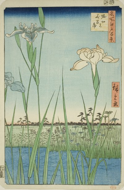 Irase s at Horikiri (Horikiri no Hanadokorobe), z serii „Ridge dre d fa net s widoki Edo (Sto słynnych widoków Edo)” autorstwa Utagawa Hiroshige