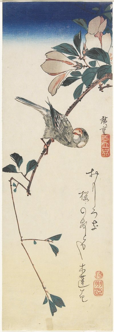 Wróbel jawajski i magnolia, 1834-1839 autorstwa Utagawa Hiroshige