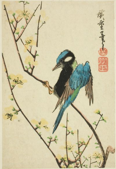 Wróbel jawajski na gałęzi wiśni autorstwa Utagawa Hiroshige