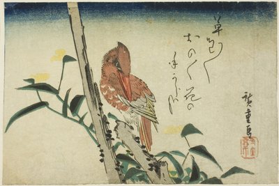 Zimorodek i Dayflower autorstwa Utagawa Hiroshige