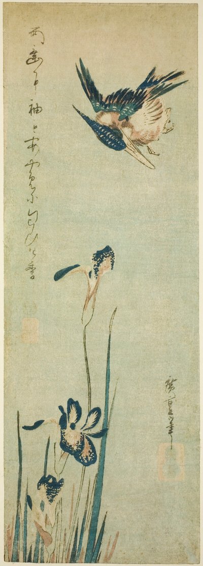 Zimorodek i irys autorstwa Utagawa Hiroshige