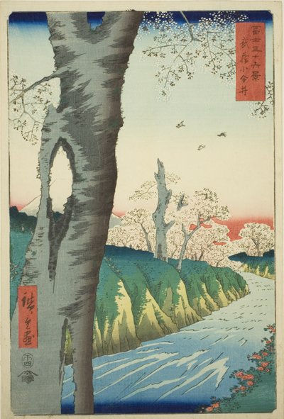 Koganei w prowincji Musashi (Musashi Koganei), z cyklu „Trzydzieści sześć widoków góry Fuji (Fuji sanjurokkei)” autorstwa Utagawa Hiroshige