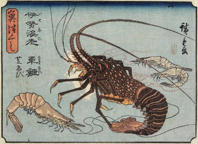Homar, krewetki i krewetki, 1830-1844 autorstwa Utagawa Hiroshige